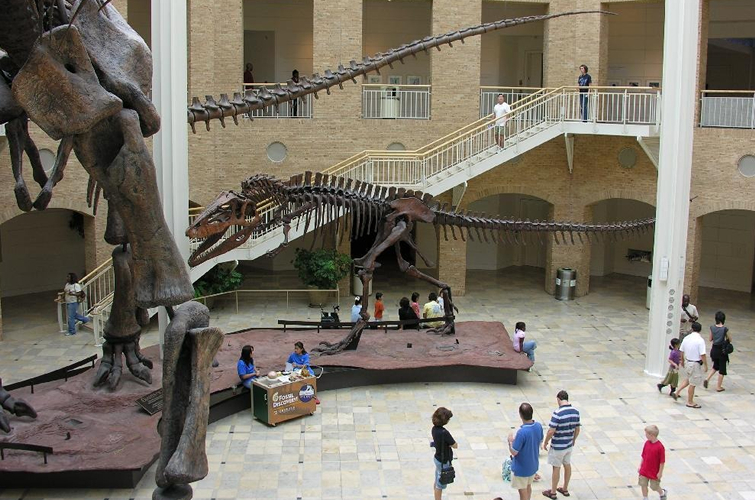 fernbank science